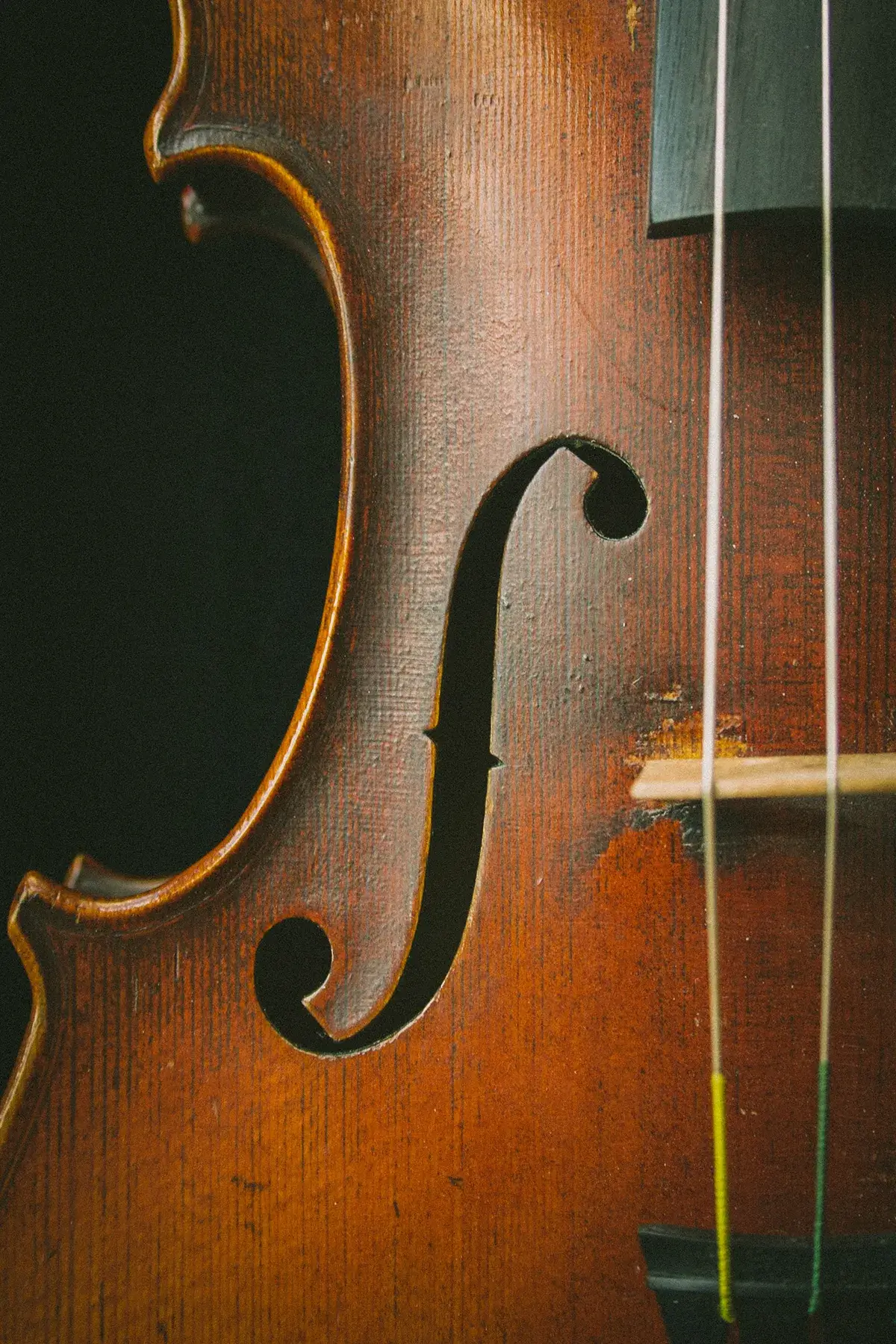 a string instrument up close.