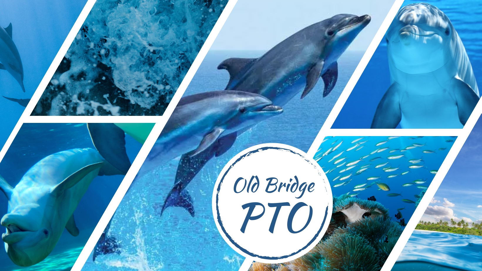 a dolphin and ocean themed Old Bridge PTO banner.